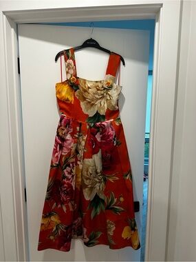 Dolce & Gabbana Red Floral Maxi Dress